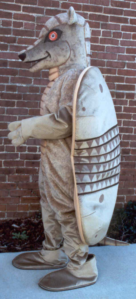 Armadillo 1