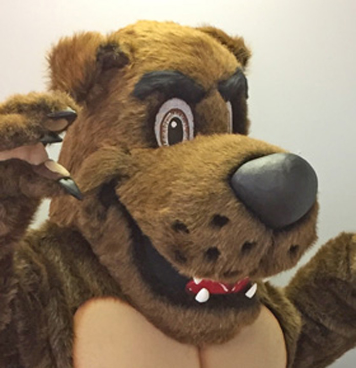 Bears Custom Mascot Costumes Gallery