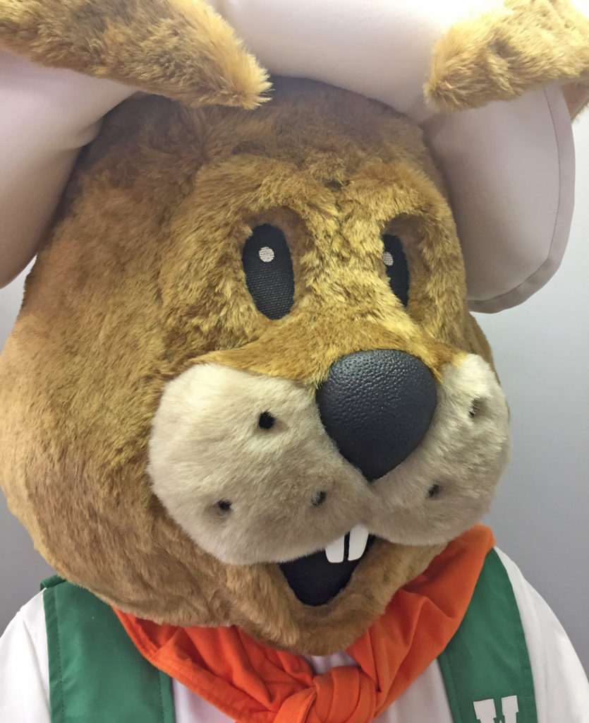 WXBQ Rabbit 2