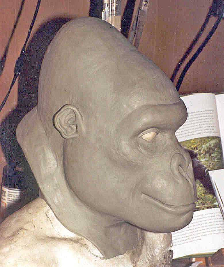 GORILLA sculpture