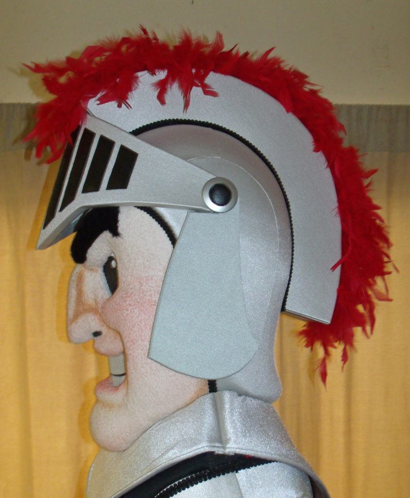 Raider Knight