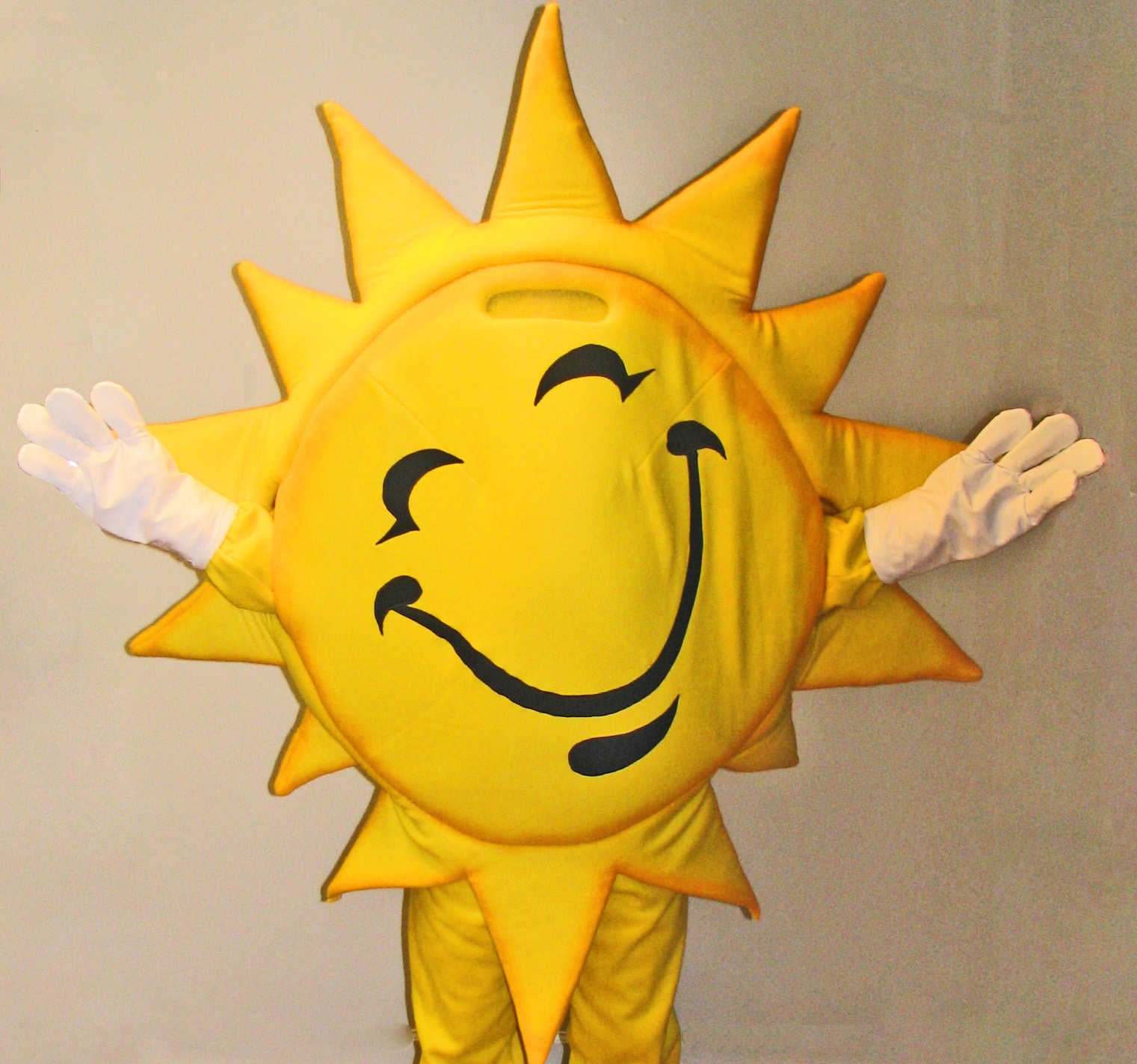 Suns & Stars Custom Mascot Costumes Gallery